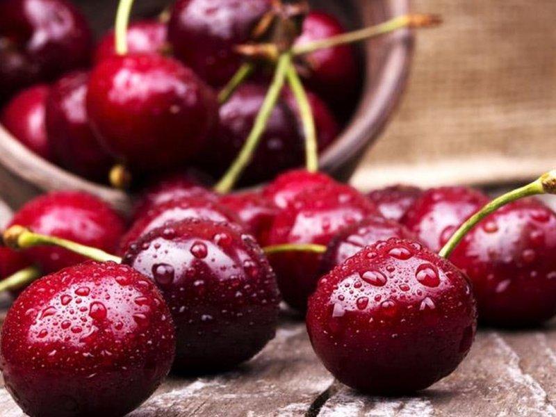 Вишня купить саженцы из питомника в Мелеузе